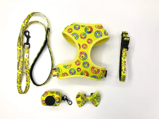 Juego de correas y arneses tácticos para perros Patrón de logotipo personalizado Malla Cinturón de nylon para perros Sublimación personalizada Suministros para mascotas Fabricación de accesorios para mascotas